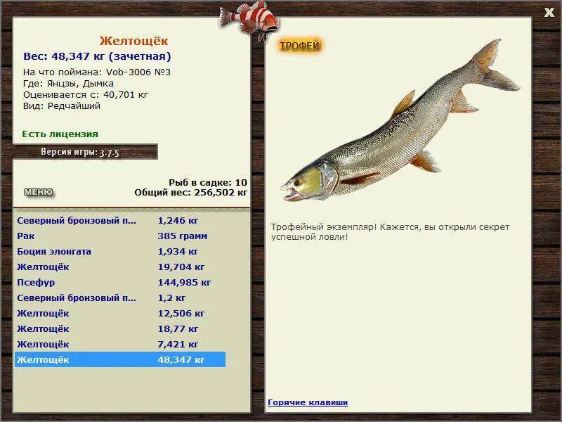 желтощек реальная рыбалка. 4. желтощек рыба. желтощек рыба в красной книге. желтощек реальная рыбалка.