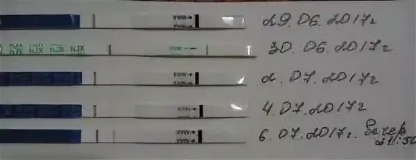 Есть киста тест положительный
