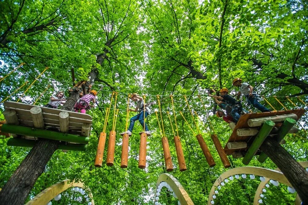 Парк погулять с детьми. Веревочный городок Панда парк в Москве. Панда парк Сокольники, Москва. Парк Сокольники веревочный городок. Веревочный парк Панда в Москве Сокольники.