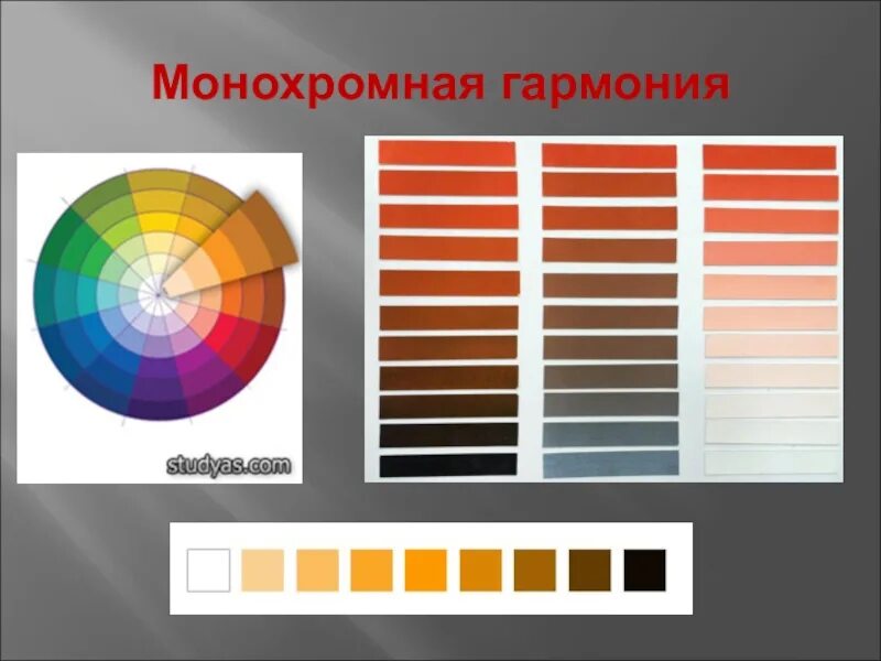 Monochrome colors. Монохромная цветовая. Монохроматическая цветовая гамма. Монохроматическая цветовая Гармония. Монохромные цвета.