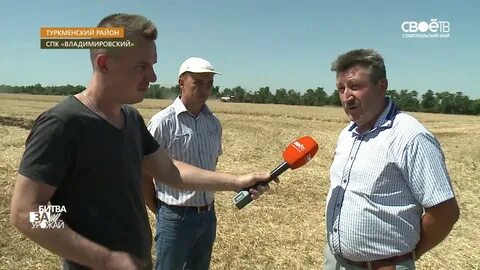 Погода овощи туркменский на неделю