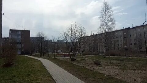 Гидрометцентр петрозаводск