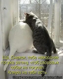 Нет я не буду успокаиваться
