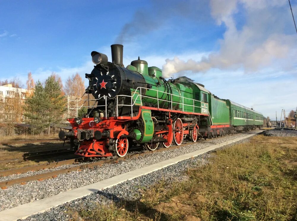 Заяц серый. Бологое животные. Корова тверская. Город бологое тверская область бол ам сож 10. Бологое животные.