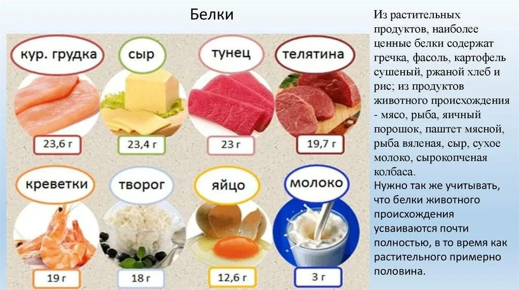 Сколько грамм белка содержится в мясе. В мясе содержится белок. Какой ьелое содержится в мясе. Содержание белка в мясе. Содержание белков в мясе.