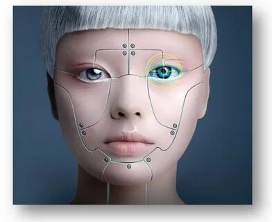 The human future