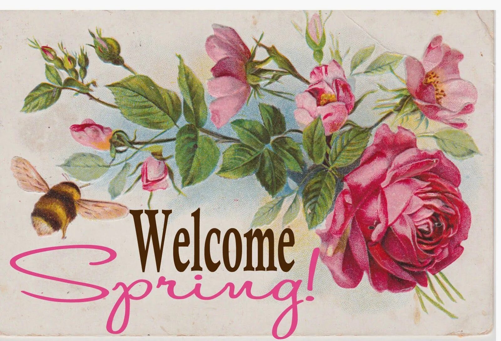 Картина Welcome. Spring открытки. Welcome картинка. Открытка hello Spring. Mom welcome