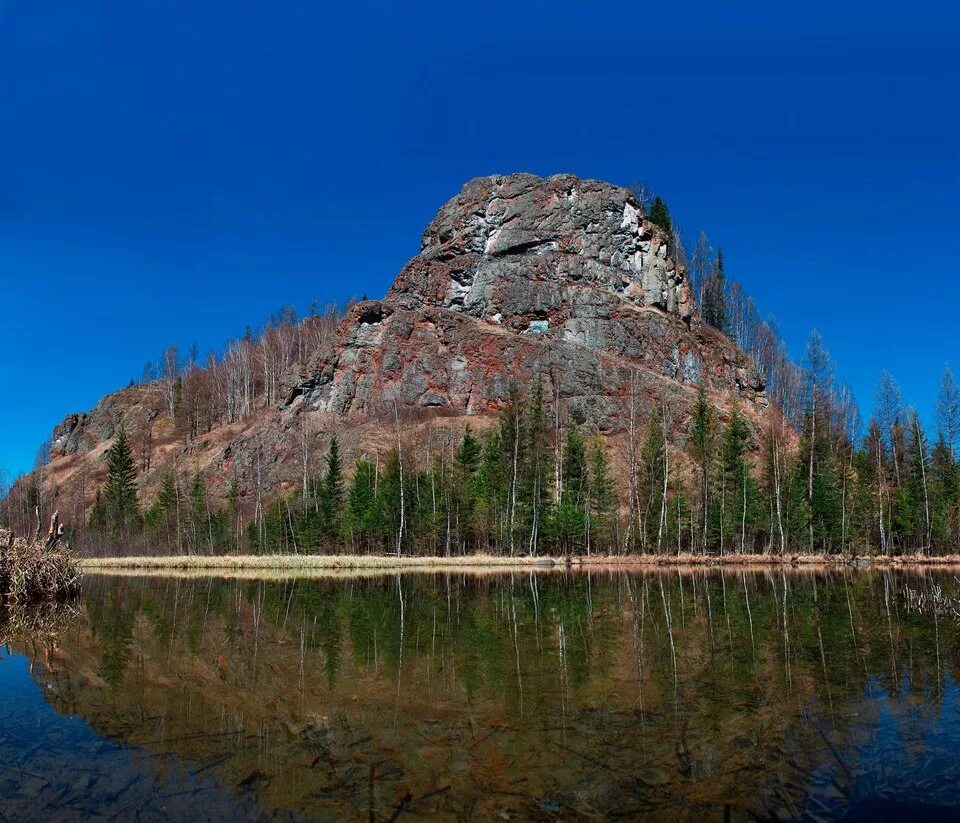 сибирский северный олень кузнецкий алатау.