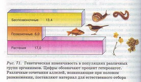 Происходит изменение генофонда. Доказательства приспособительного характера изменения генофонда. изменчивость популяции. изменчивость генофонда. изменчивость генофонда популяций различных групп организмов.