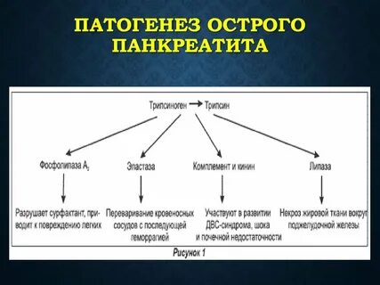 Основное звено острого панкреатита
