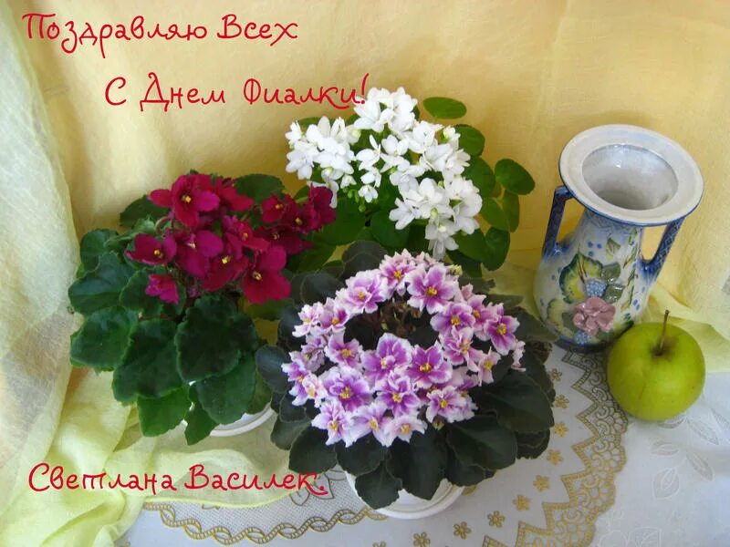 DON'T WAIT...LIFE GOES FASTER THAN YOU THINK Flowers photography, Purple flowers