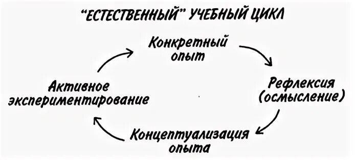 Естественный цикл