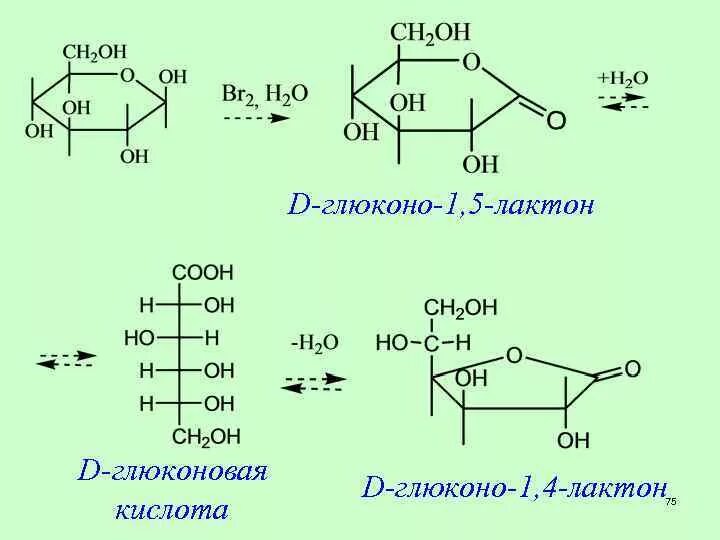 Глюконова цена. Циклическая формула глюконовой кислоты. Циклическая форма глюконовой кислоты. D-глюконовая кислота формула. Глюконовая кислота формула.