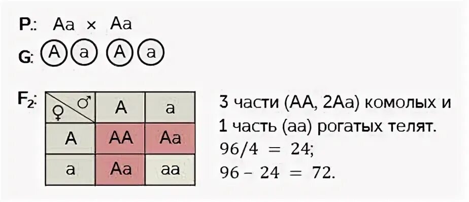 Особь с генотипом аа