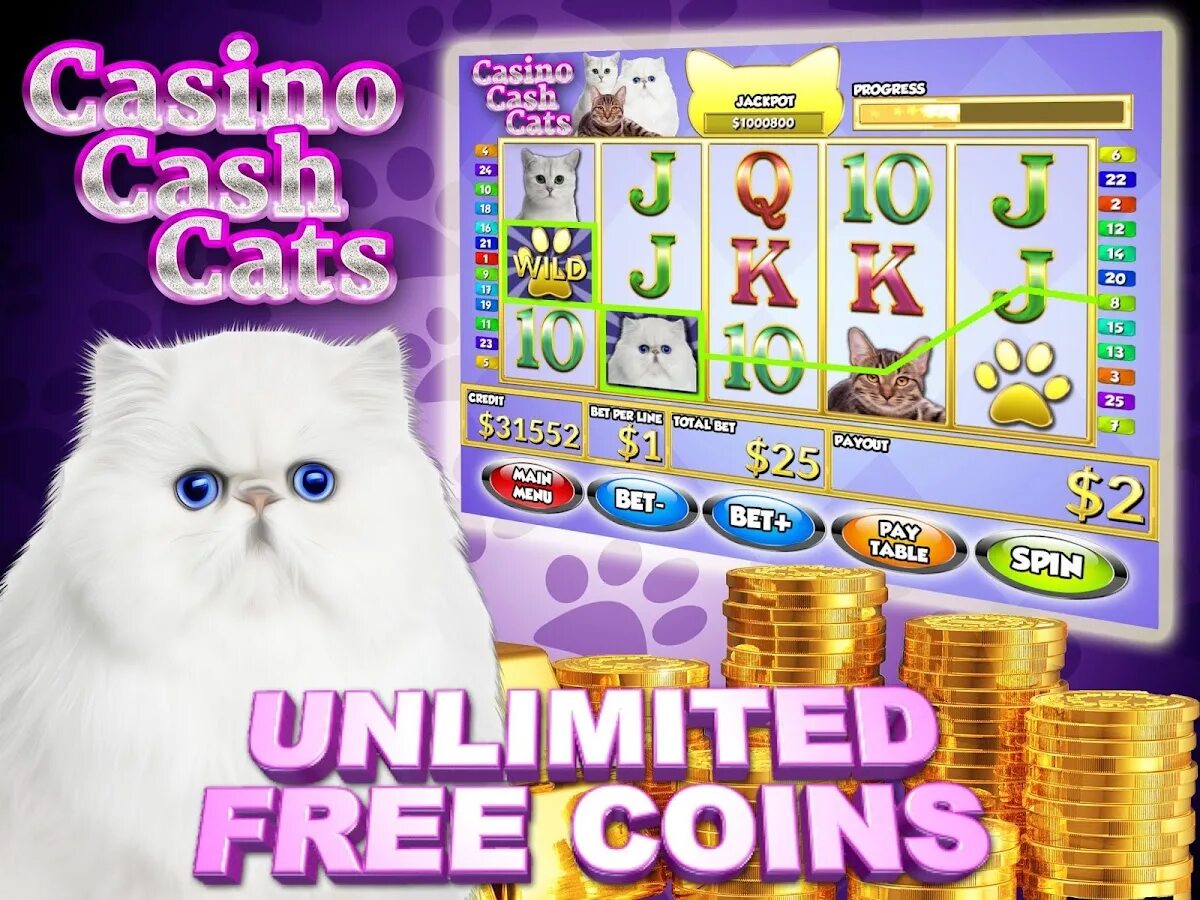 Cat casino лицензия cat casino game. Игра Cat Casino. Кот казино слоты. Кэт казино игры. Слот с кошками в казино.