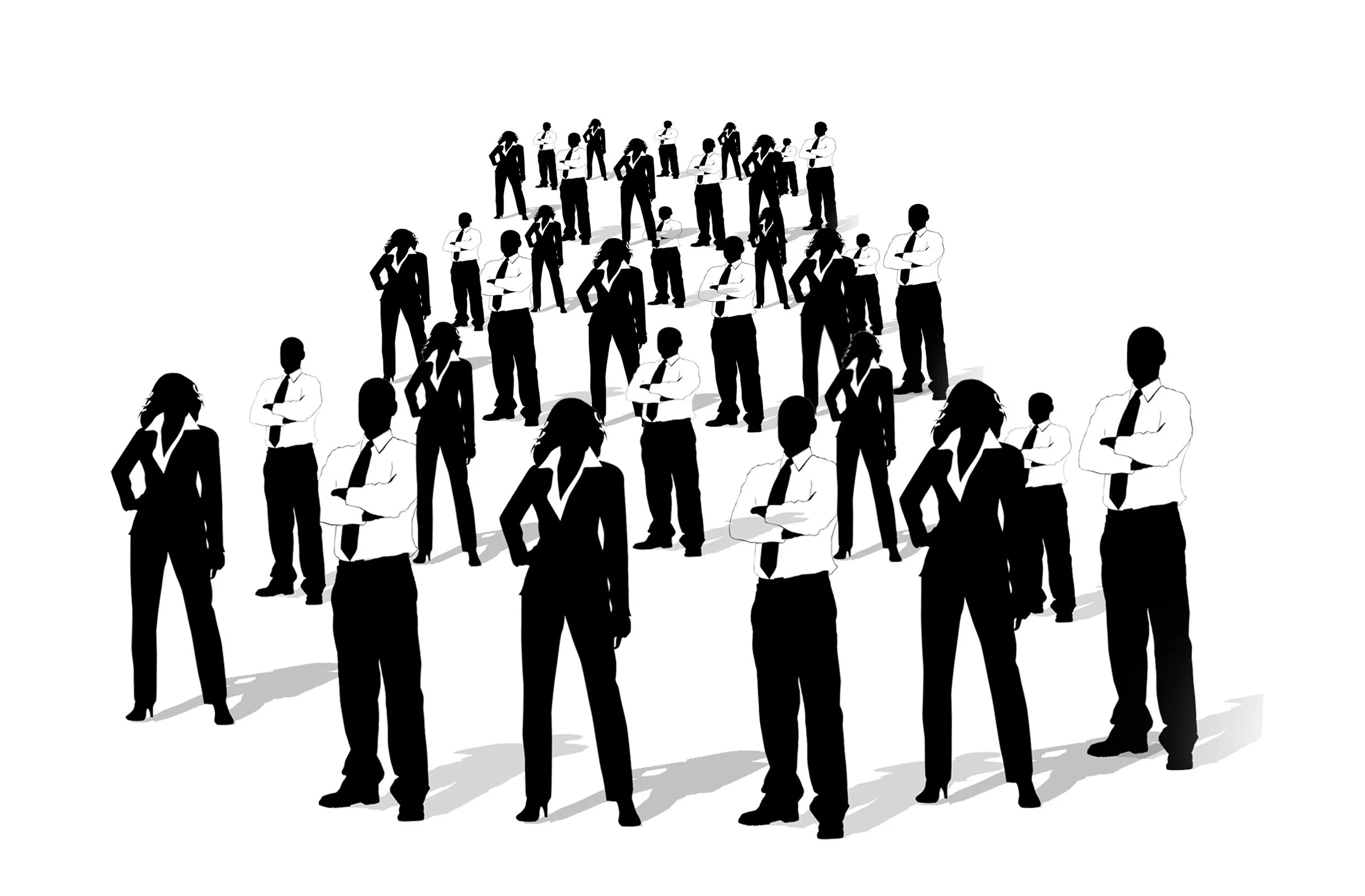 Management selection