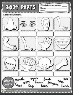 Parts of body задания
