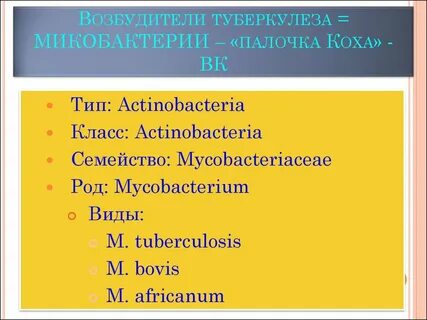 Класс туберкулеза