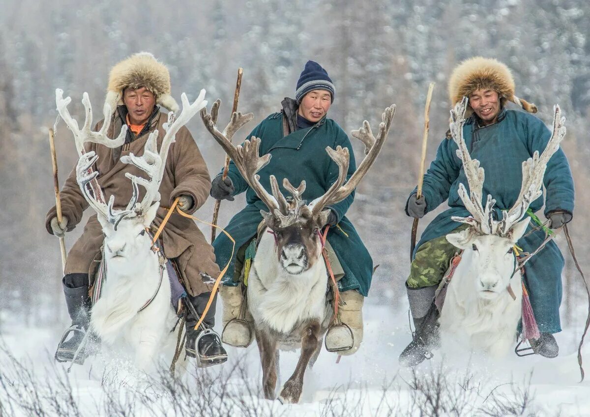 Эвены и эвенки. Ненцы эвенки. Ненцы оленеводы. Ненцы, Ханты, эвены, чукчи. Основные занятия хантов