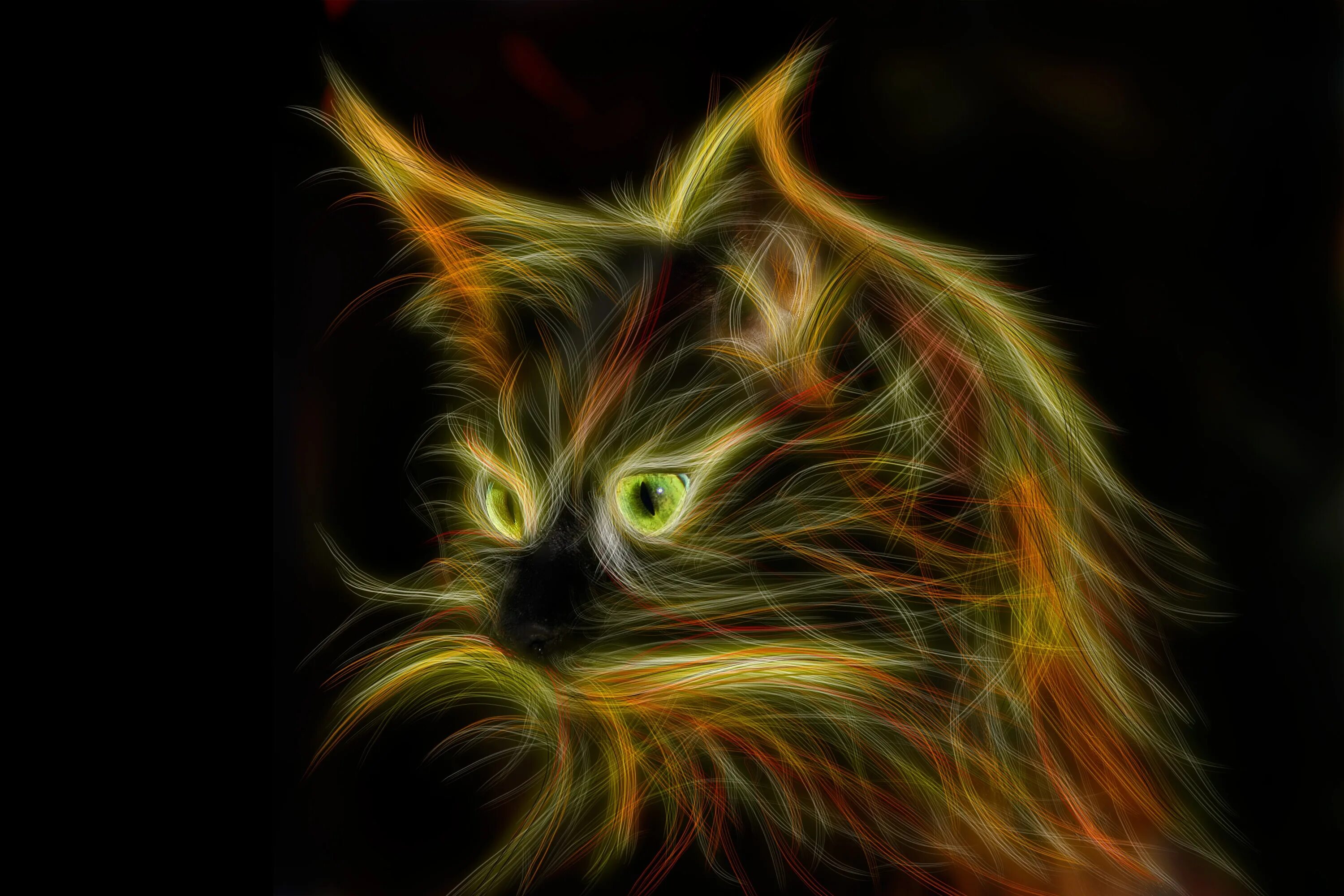 Кот с огненными глазами. Огненный котик. Портрет кота. Кот с огненной шерстью. Кот хамелеон