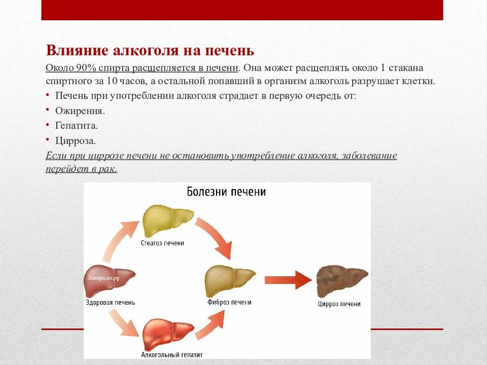 Как таблетки влияют на печень