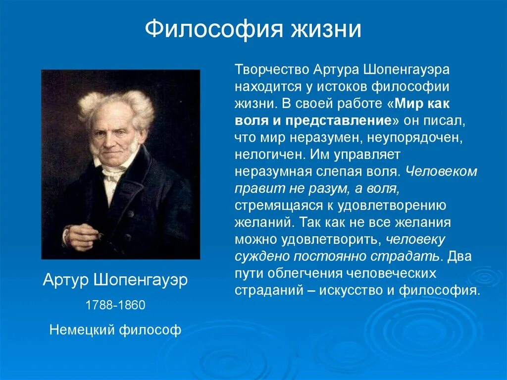 Философское учение культуры. Немецкий философ а. Шопенгауэр (1788—1860.