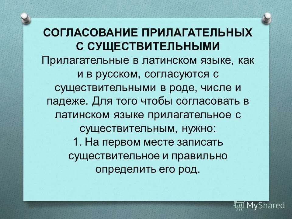 Прилагательное правильно согласовано с существительным