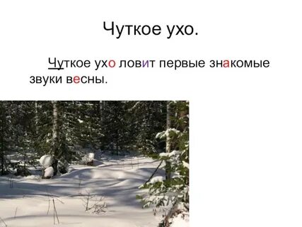 Знакомый звук