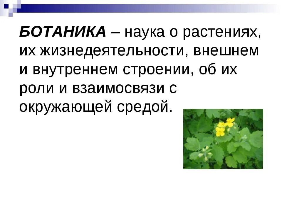 Что такое ботаническая папка в биологии. Ботаника наука о растениях. Ботаника изучает растения. Коука орасстения ботаник. Ботанические науки о растениях.