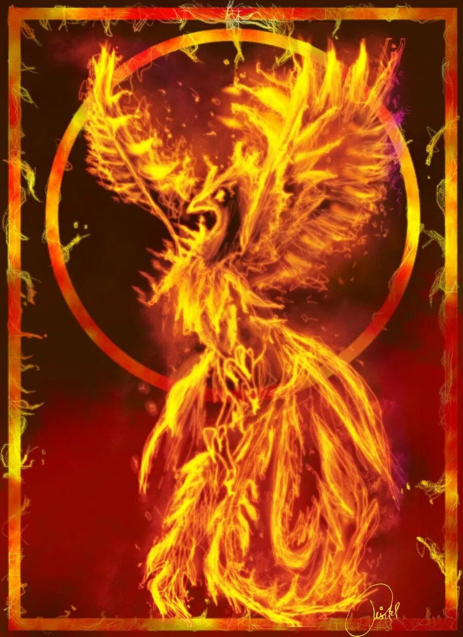 Огненный феникс дилюк. Phoenix spirit. Phoenix spirit. Птица феникс. Птица феникс перерождение.