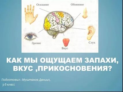 Чувствовать вкус цвета