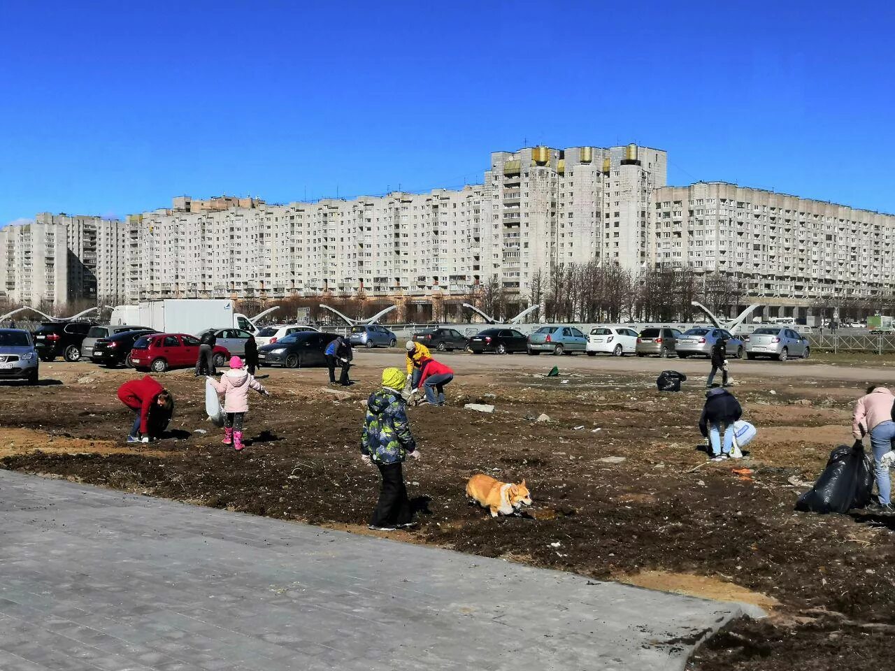 Васильевский остров проблемы. Намыв Петербург. Намыв Васильевского острова. Южный Намыв. Северо-Западный Намыв Васильевского острова.