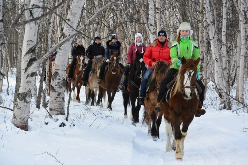 Прогулка на лошадях пермь