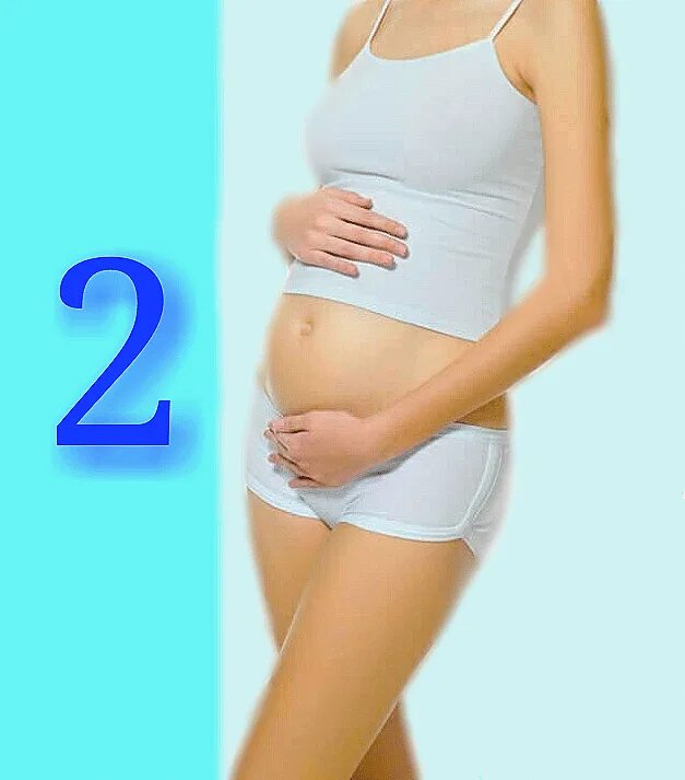 2 Месяц беременности. Живот на 2 месяце. Животик на 2 месяце беременности. Живот в два месяца беременности.