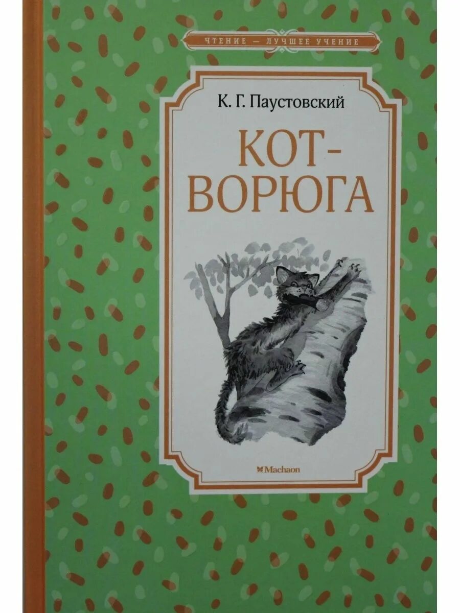 Коте георгиевич. Книга кот ворюга Паустовский. Книги Паустовского для детей.