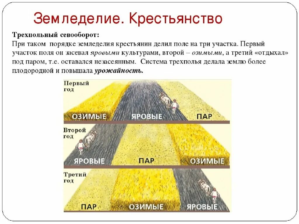 Какие преимущества имеет трехпольная система обработки земли. Трехпольная система севооборота. Двухпольная и трехпольная система земледелия. Трехполье земледелие. Система земледелия Трехполье.