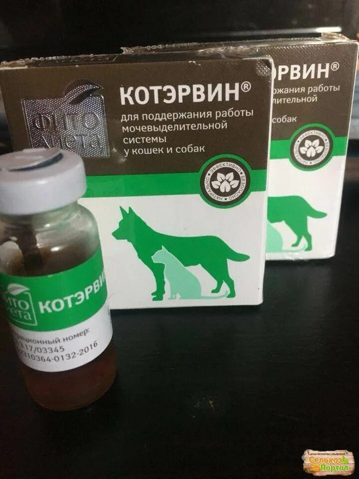 Котэрвин для кошек как давать. Котэрвин уп. 3фл * 10мл. котэрвин для собак. котэрвин для кошек и собак.