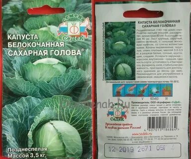 Капуста сорт сахарная описание