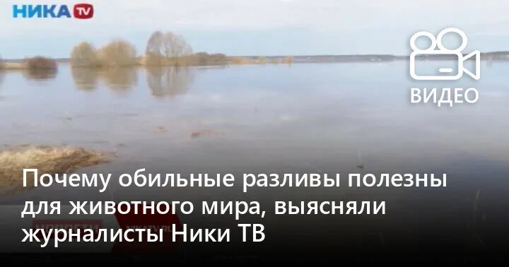 Разлив угры в Калуге. Разлив на Угре. Разлив в озёрах. Разлив Оки в Озерах.