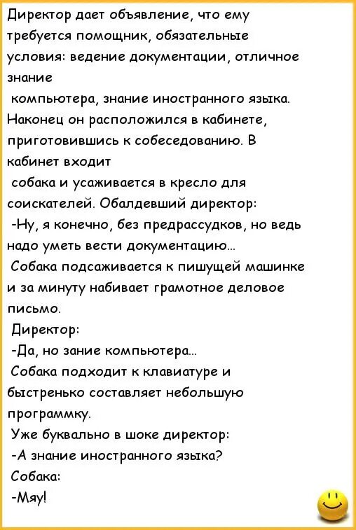 Анекдоты про секретарш. Прикольные анекдоты про директора. Смешные шутки про начальника. Шутки про директора. Смешные анекдоты про начальника.
