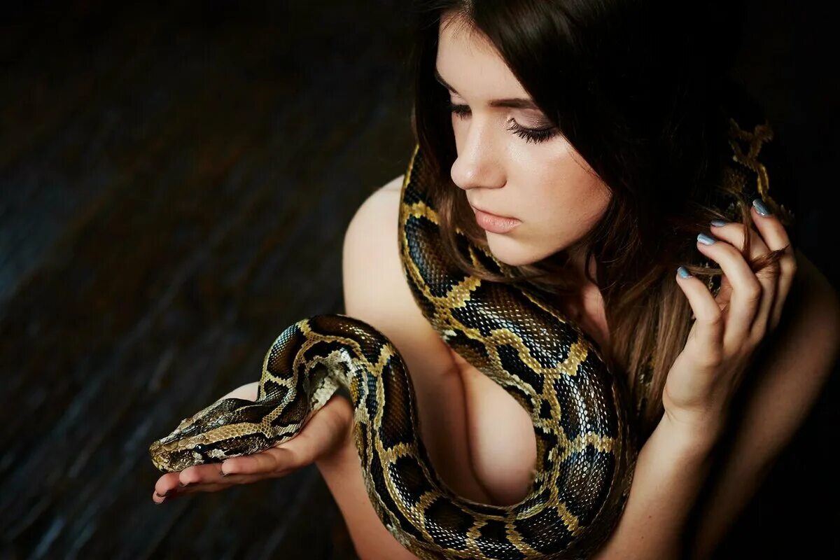 Milla snake. Девушка змея. Красивые девушки со змеями. Красивая девушка со змеей. Фотосессия со змеями.