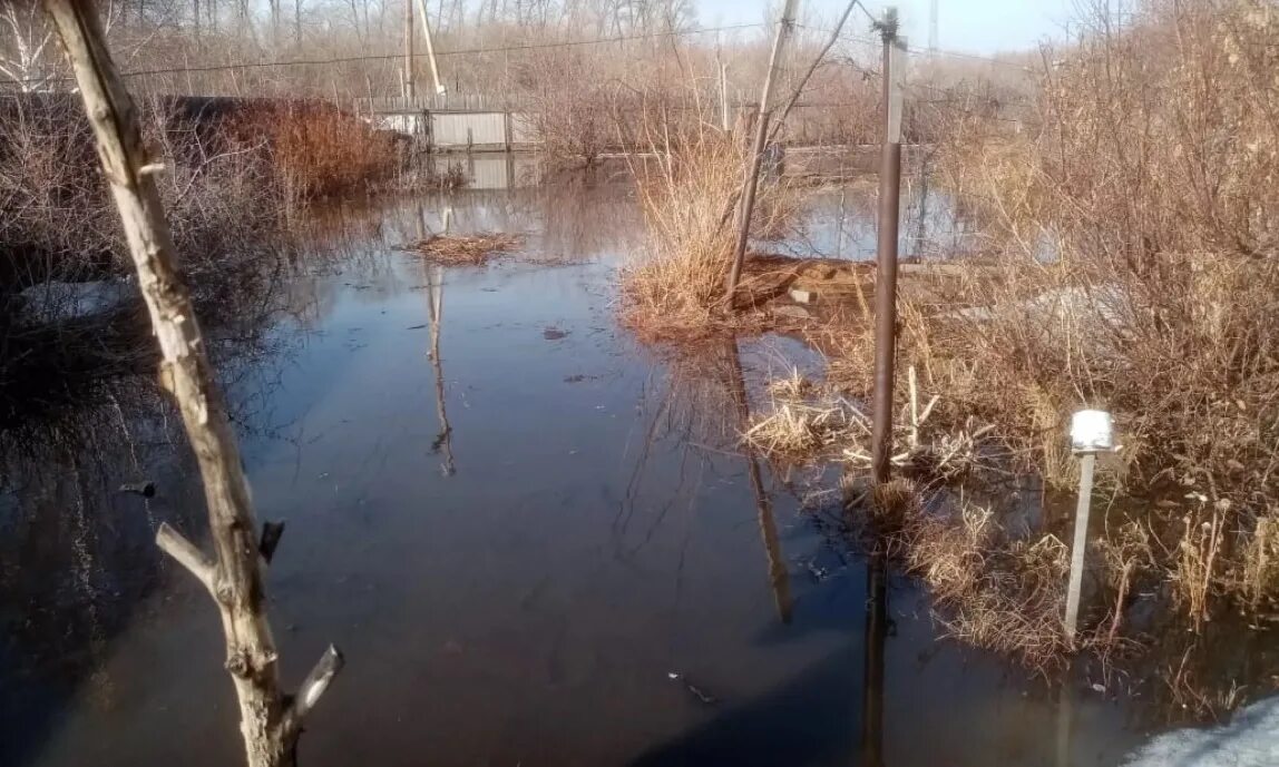 Уровень воды в камне на оби сегодня. Река Обь камень на Оби. Река за рекой. Камень на Оби затопление 2015. Родник камень на Оби.