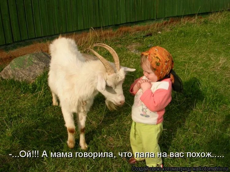 включи мама сказала. мамин сын цитаты. твое лицо когда. включи мама сказала. телевизор с мультиками.