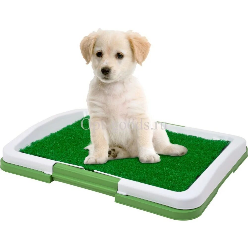 Туалет Puppy Potty Pad. Домашний туалет для собак и кошек Puppy Potty Pad. Лоток для собак Puppy Trainer. TV-600 домашний туалет для собак и кошек Puppy Potty Pad. Лотки для мелких пород