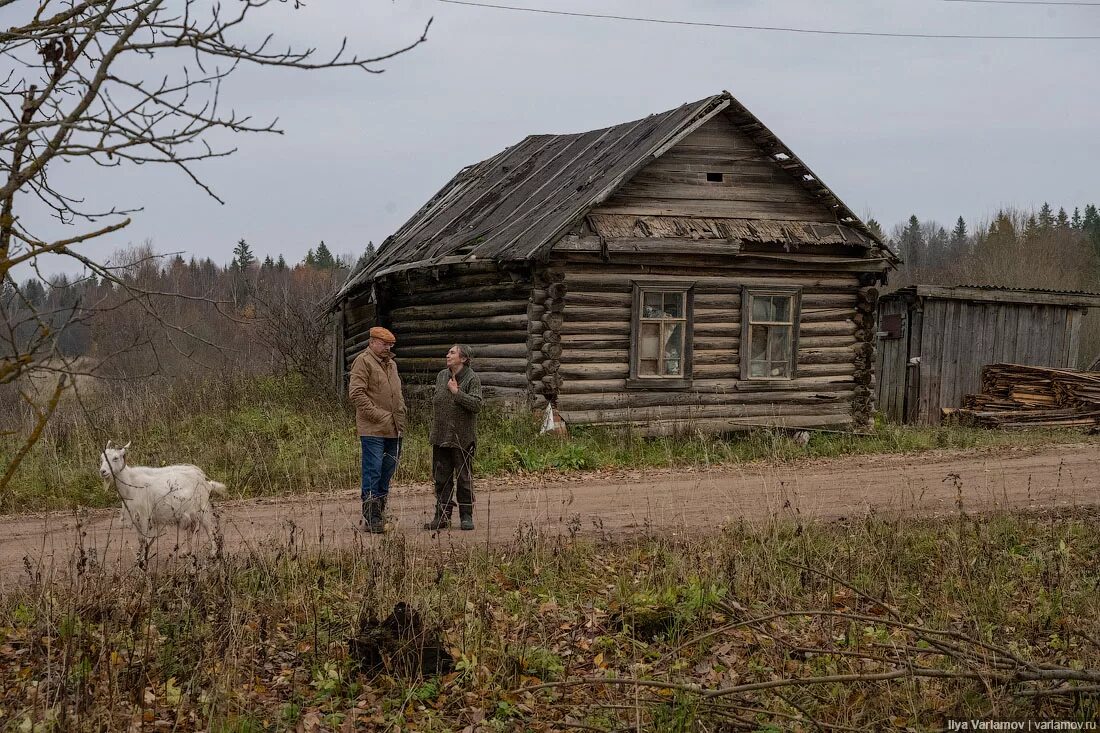 Село гудя. Тверская обл вымершие деревни. Вымирающие деревни Тверской области. Заброшенная деревня. Деревни России.