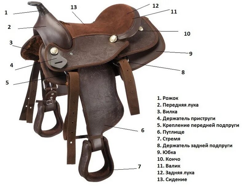 Правильное расположение седла на лошади Correct position of western saddle tree Paarden, Spieren