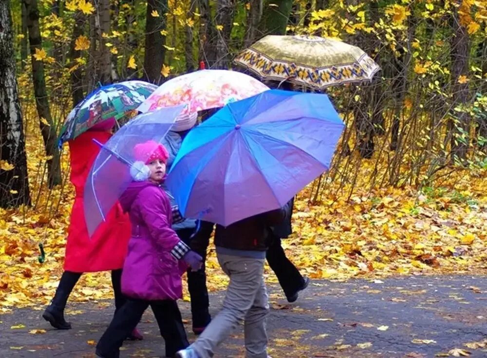 Под зонтиком песня. Осенний зонтик. Дети с зонтиками осенью. Фотосессия школа зонты. Парад зонтиков.