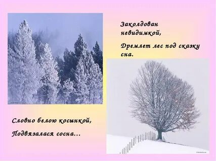 Под сказку сна