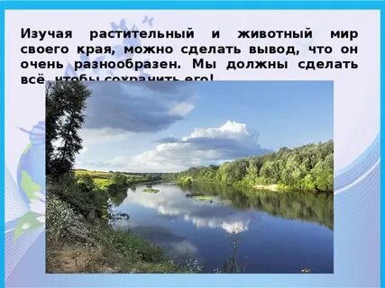Изучаю природу родного края