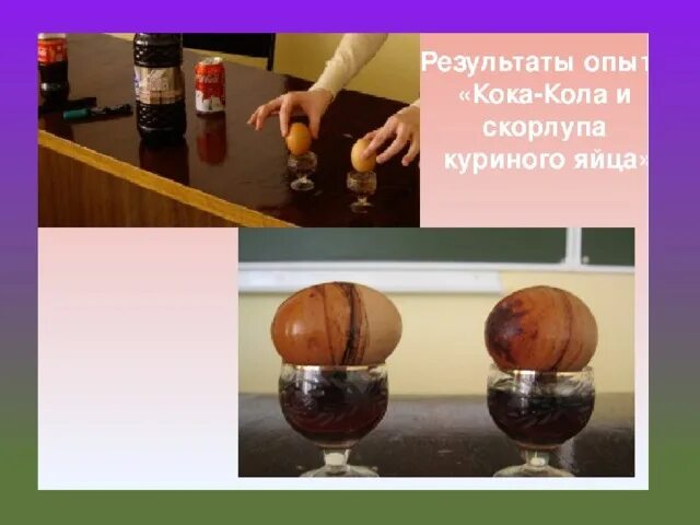 Яйца с газированной водой. Кока кола и яйцо эксперимент. Опыт с яйцом и Кока колой. Опыт кола и скорлупа. Опыты с яичной скорлупой.